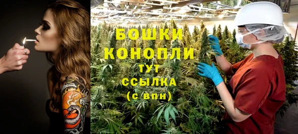 сатива Нефтегорск
