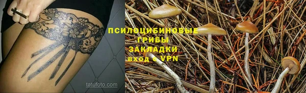 сатива Нефтегорск