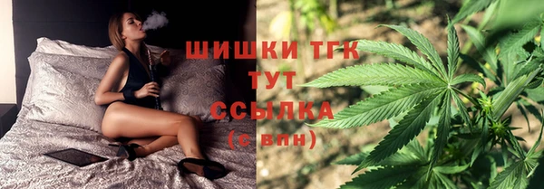 крисы Нефтекумск